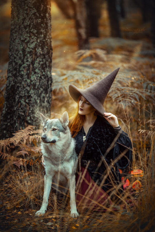 Print - The Wolf and the Witch