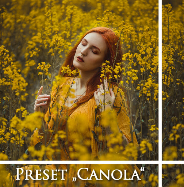 LR Color Preset "Canola" - PC/MAC/Smartphone