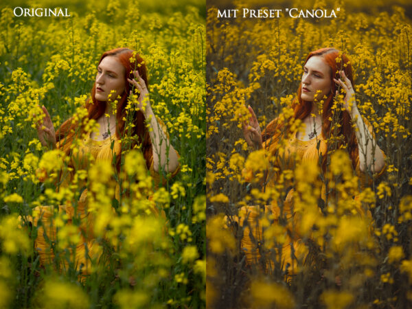 LR Color Preset "Canola" - PC/MAC/Smartphone – Bild 2