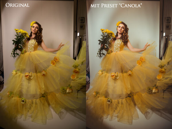 LR Color Preset "Canola" - PC/MAC/Smartphone – Bild 5